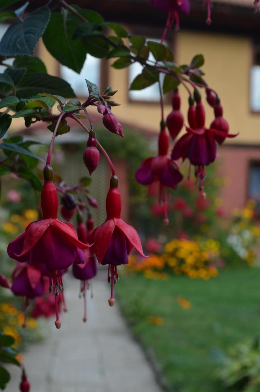 Guest House Zlatniyat Telets Koprivshtitsa Exterior photo